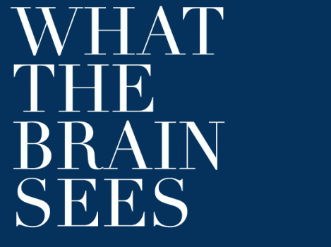 WHAT-THE-BRAIN-SEES